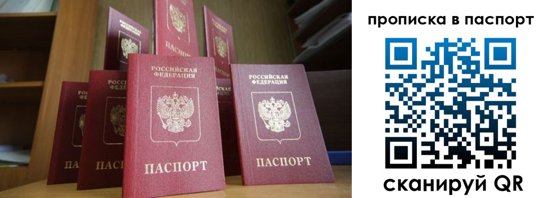 прописка законно в Обояни